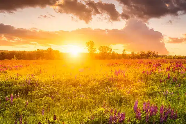 Legacy Giving 166004479 L 640